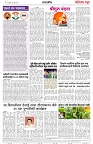 page 2 final